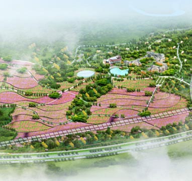 云南丰德生态农业观光园规划设计